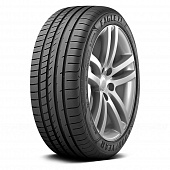 255/40 R19 GoodYear Eagle F1 Asymmetric 5 100Y TL