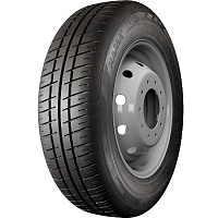 244 244